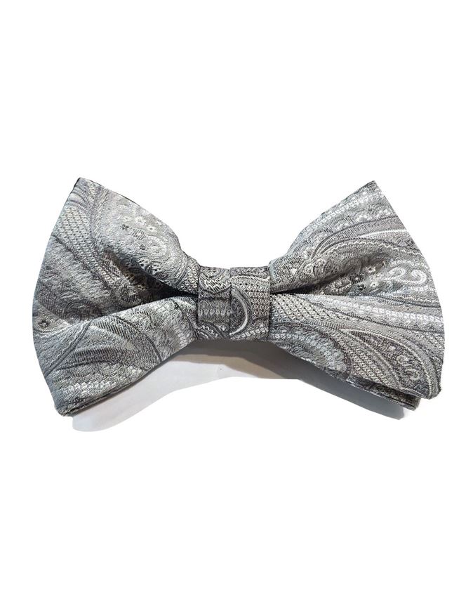 Picture of Ted Baker Paisley Silk Bow Tie