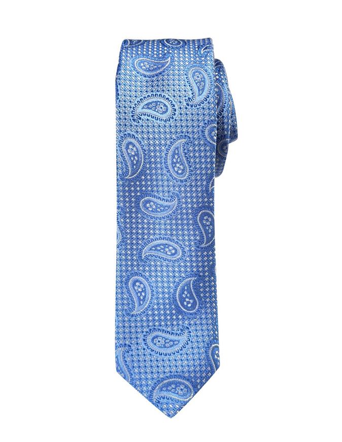 Picture of Hemley German Made Textured Paisley Skinny Silk Tie