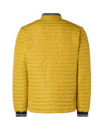 Picture of No Excess Yellow Puffer Short Jacket